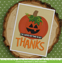 Load image into Gallery viewer, outside in stitched pumpkin